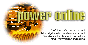 power1.gif (2937 bytes)